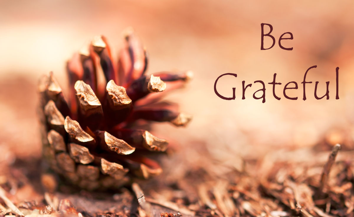 Thanksgiving Gratitude