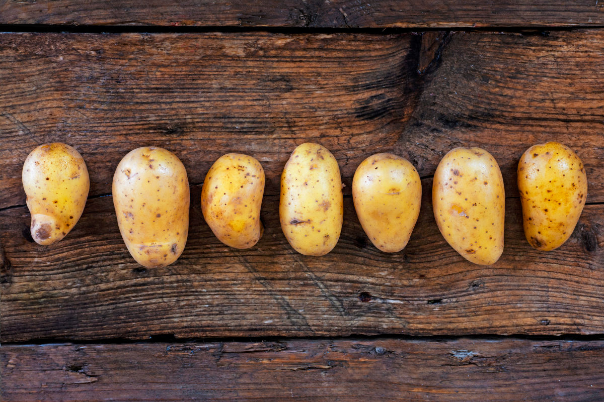 seven-potatoes-in-row